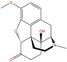 Oxycodone1.png