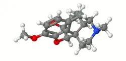 Dihydrocodeine3D.gif