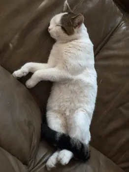 Drifting