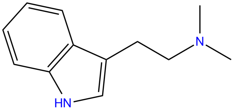 File:DMT.png