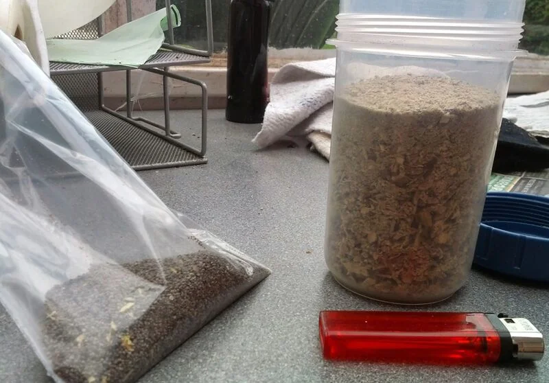 File:Poppy pod tea 3.jpg