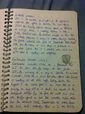 IMG 1490.JPG