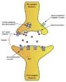 Thumbnail for version as of 16:13, 16 April 2014