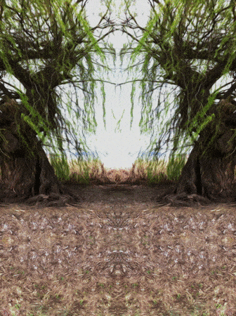 File:Symmetric pattern drifting.gif