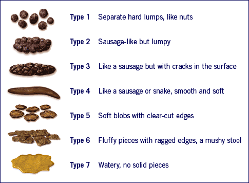 File:Nhs-stool-chart.gif