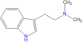 DMT3.png